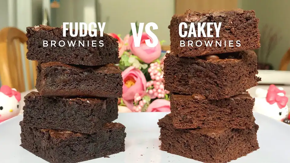 gambar perbedaan fudgy brownies dan cakey brownies