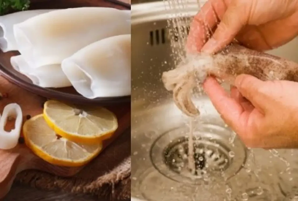 how to clean the squid